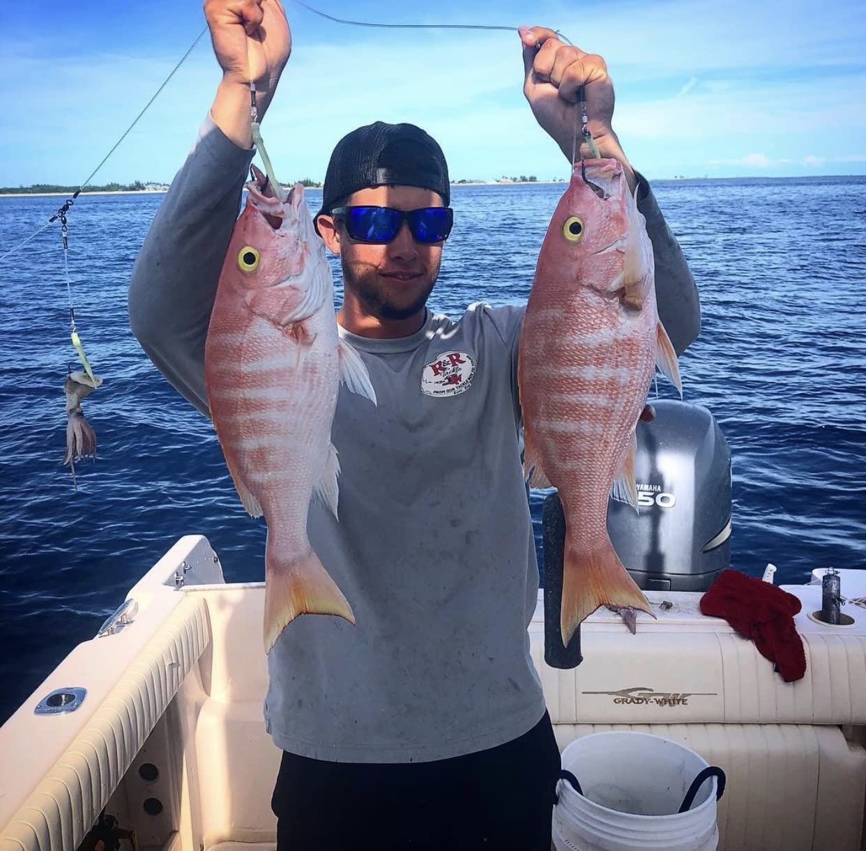 Swiveled hooks on deep drop rig