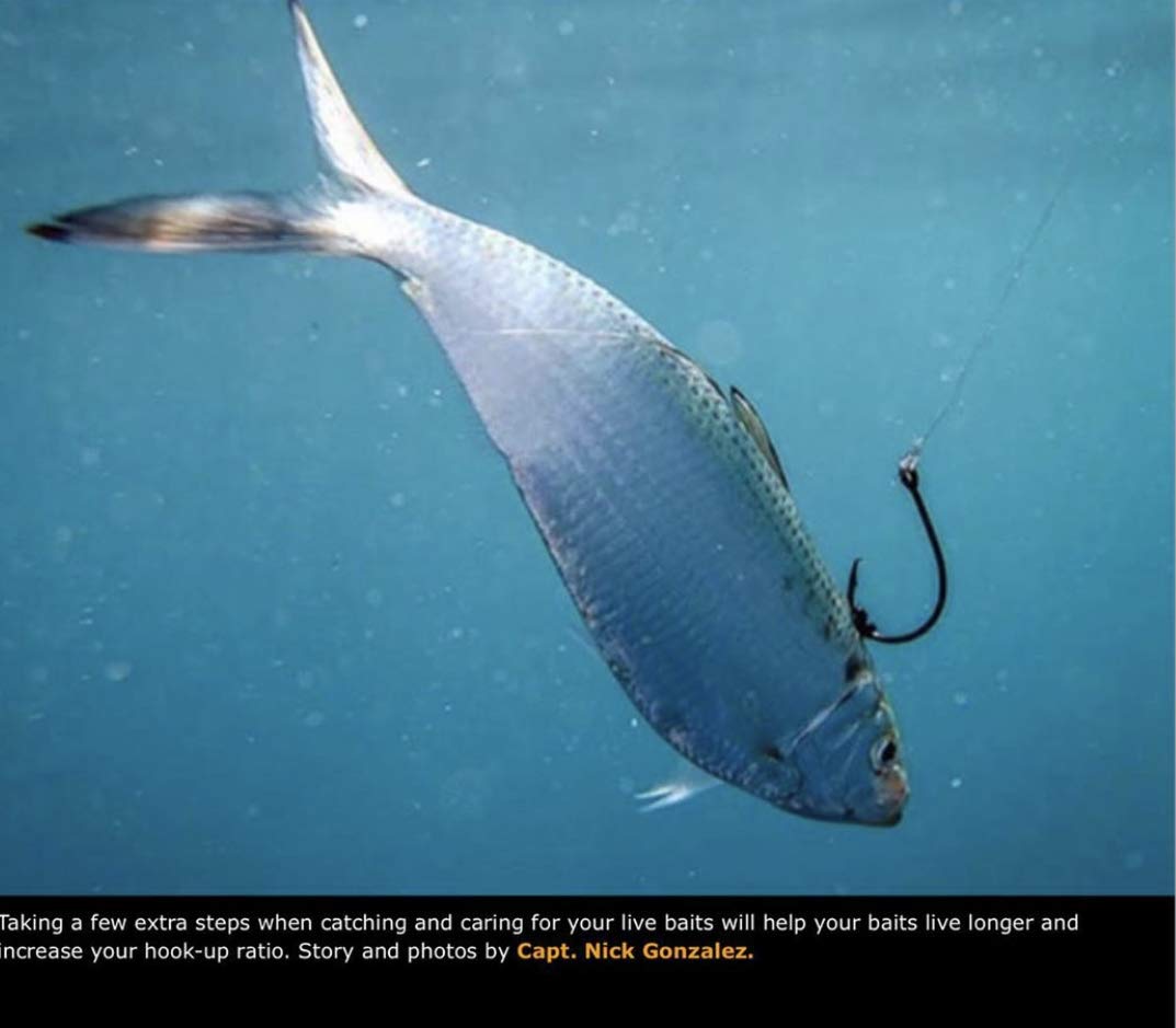 R&R Tackle corrosion-free needles designed to withstand saltwater use.