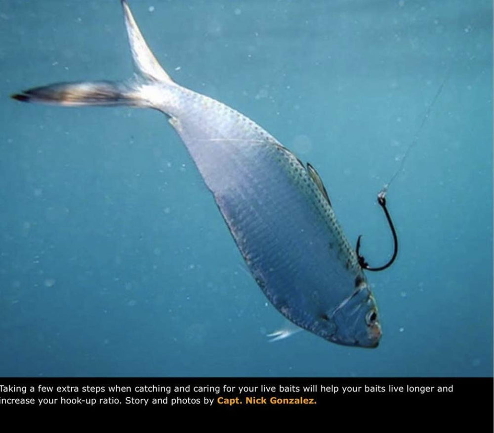 R&R Tackle corrosion-free needles designed to withstand saltwater use.