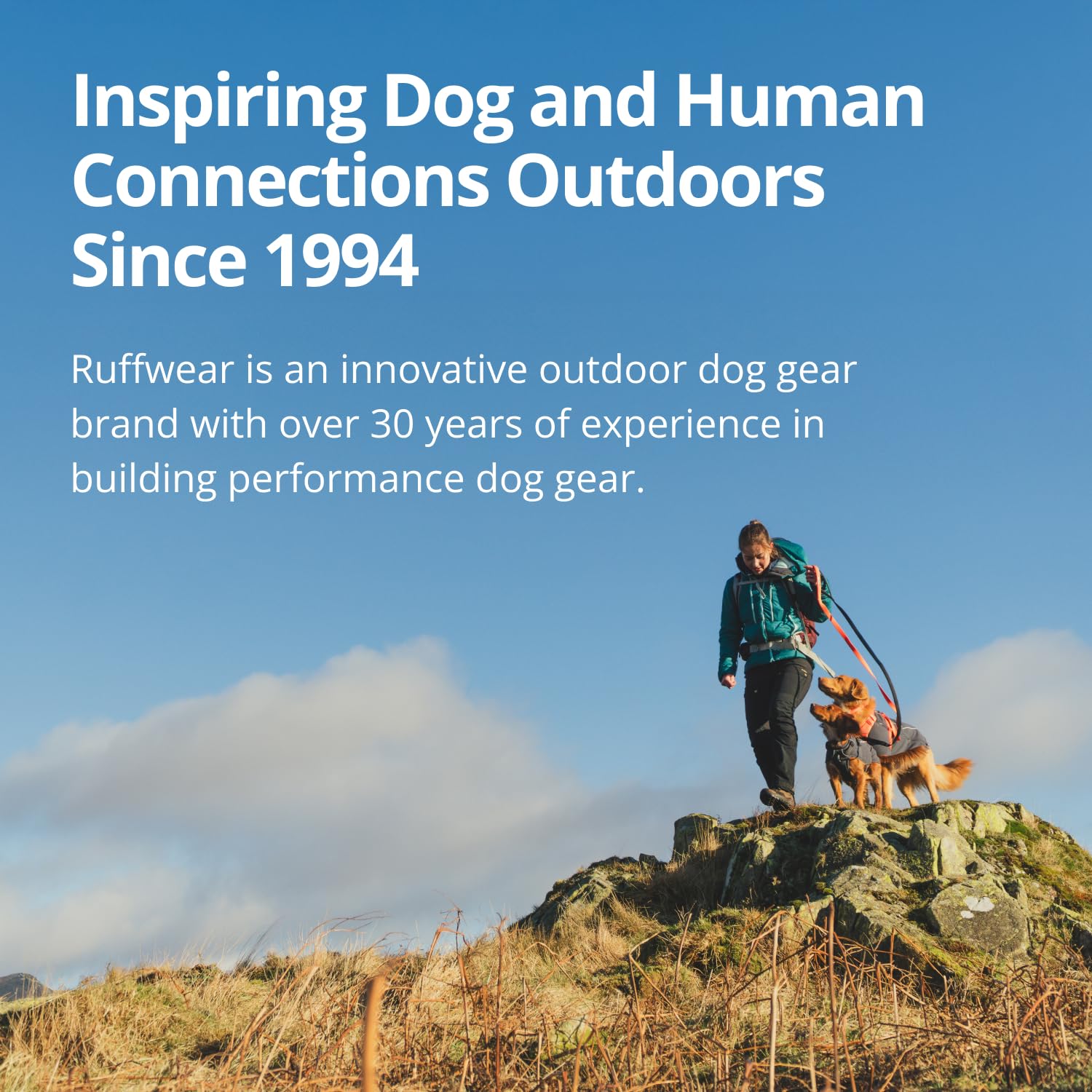 Ruffwear Home Trail Hip Pack built-in phone pocket for on-the-go access.