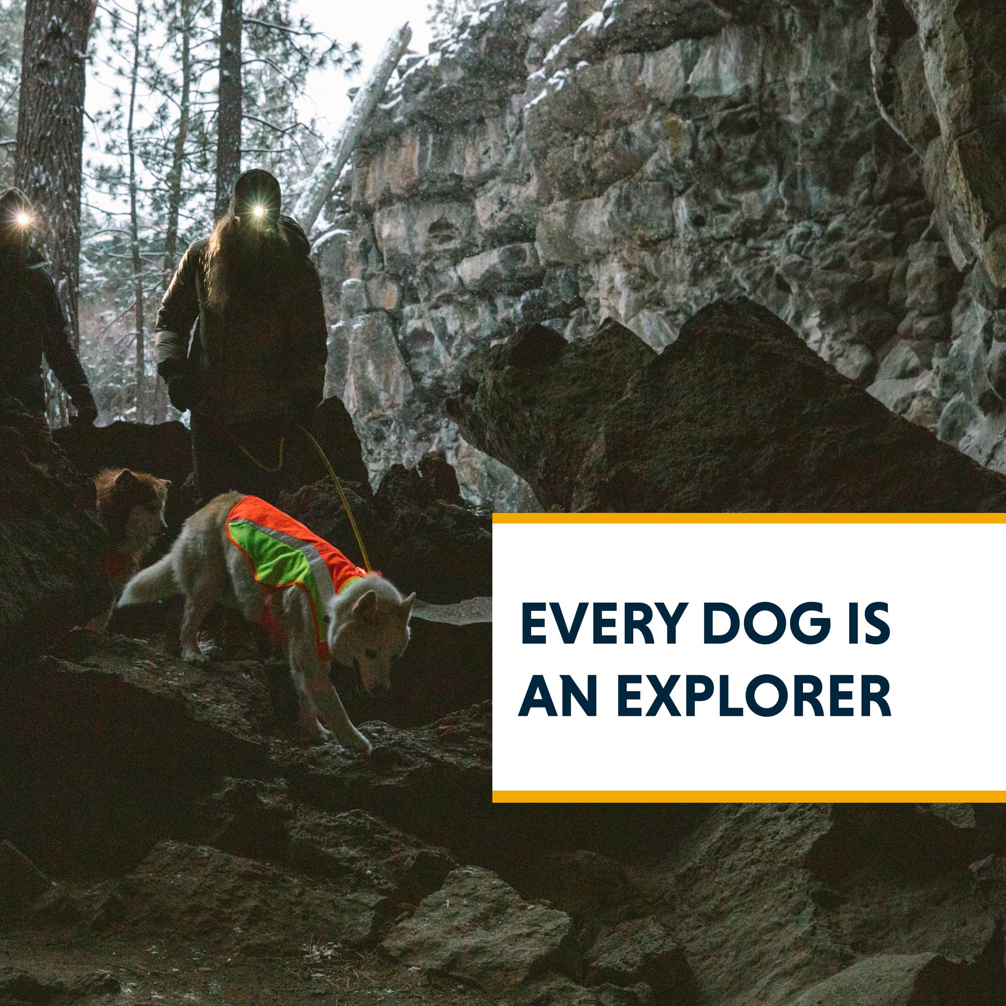 Ruffwear Lumenglow vest back-light loop enables added visibility