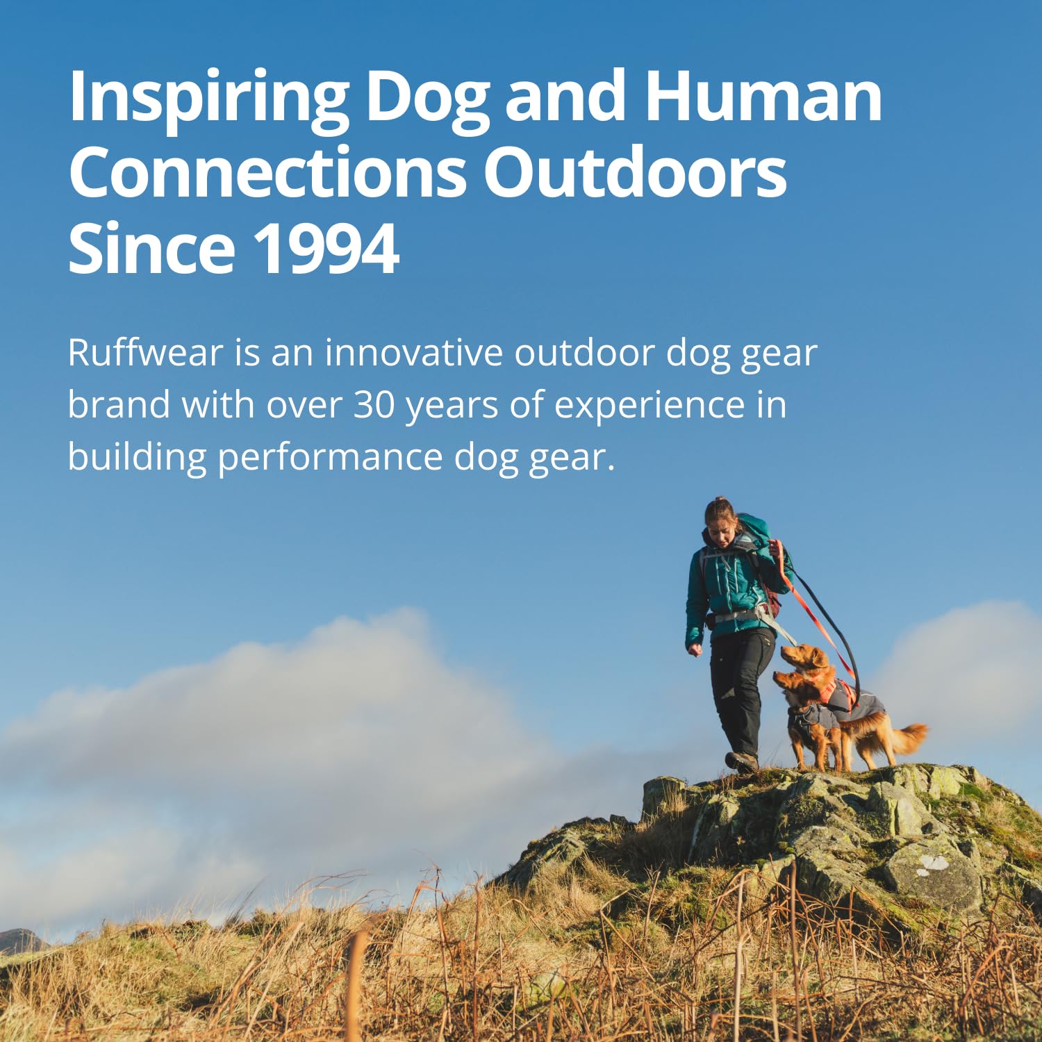 Ruffwear Lumenglow vest durable 600D shell resists light rain and brush