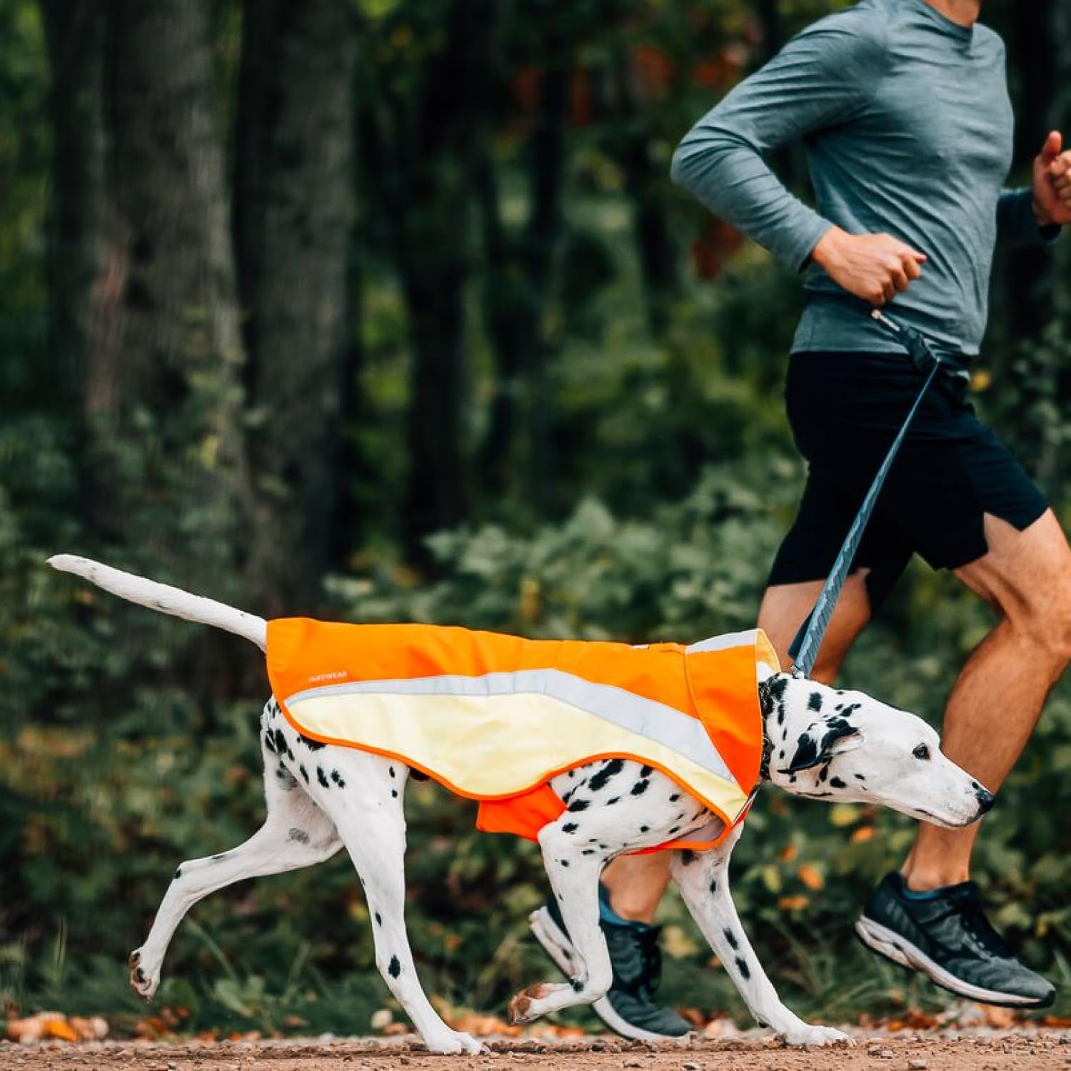 Ruffwear Lumenglow vest durable shell in outdoor setting with weather resistance.