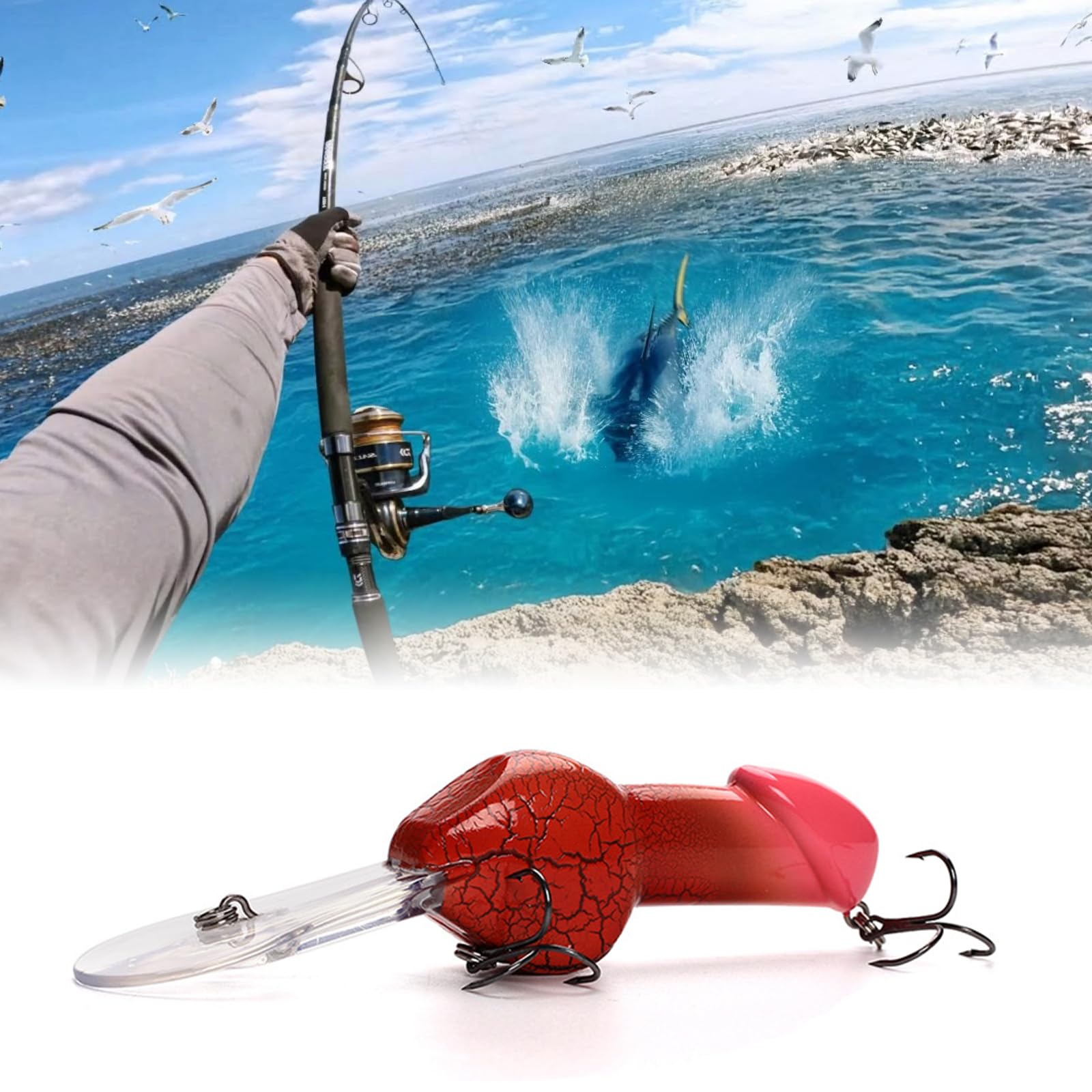 Premium ABS material with built-in rattles