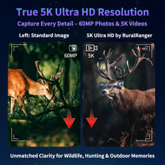 RuralRanger 5K video and 60MP capture mode highlights vivid night wildlife footage.