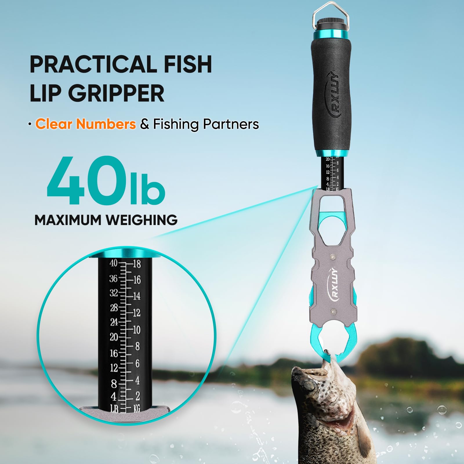 Built-in 40 lb scale on jaws of RXLUY Fish Lip Gripper