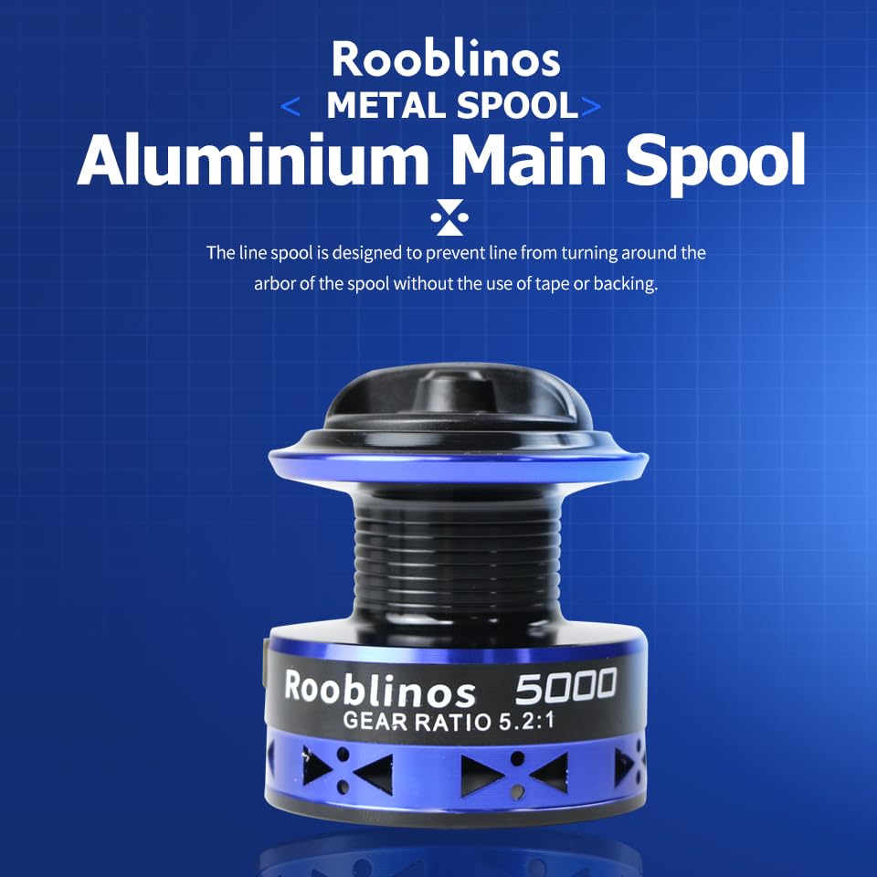 Drag system and anti-reverse gears of RYOBI RANMI Easting reel