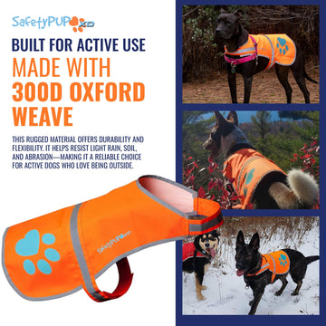 Bright orange SafetyPUP XD vest with high-visibility for low light
