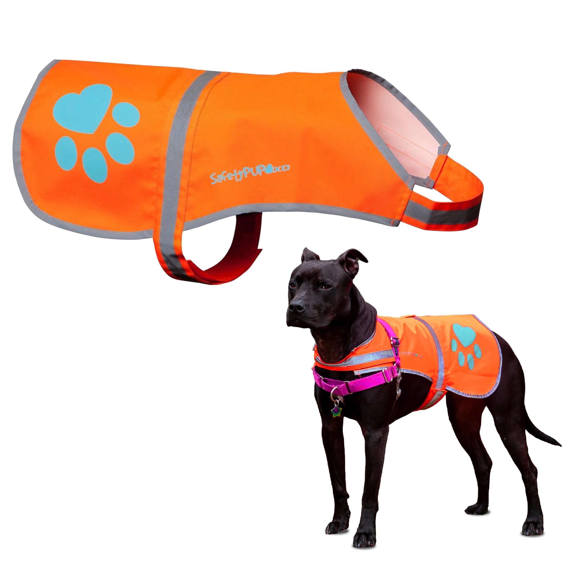 SafetyPUP XD Soft-Shell Vest in orange, front view for night visibility during walks