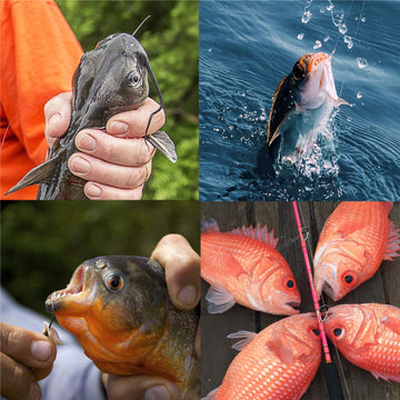 Forged, extra-strong J hooks for saltwater and freshwater fishing