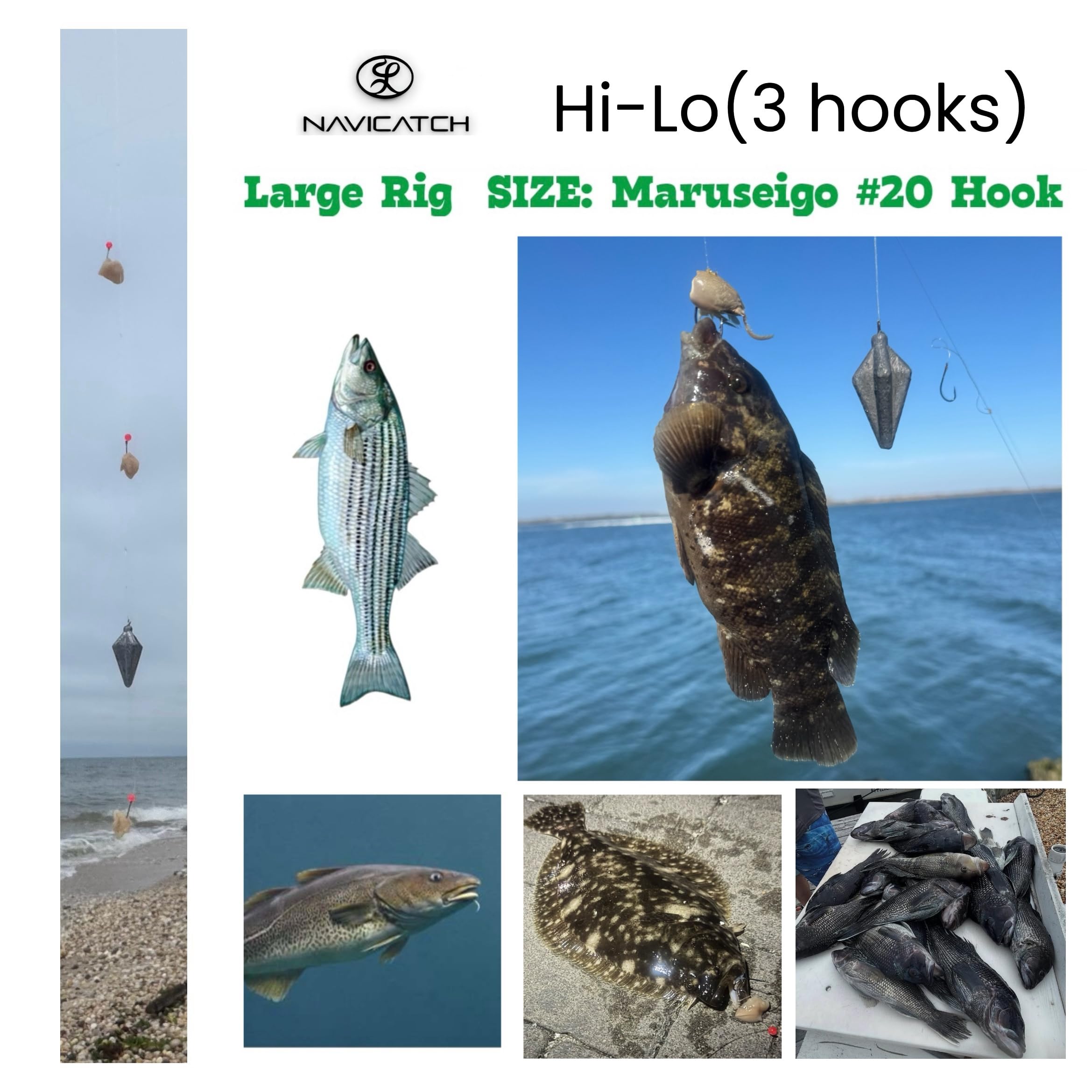 Compatible with saltwater and freshwater fishing