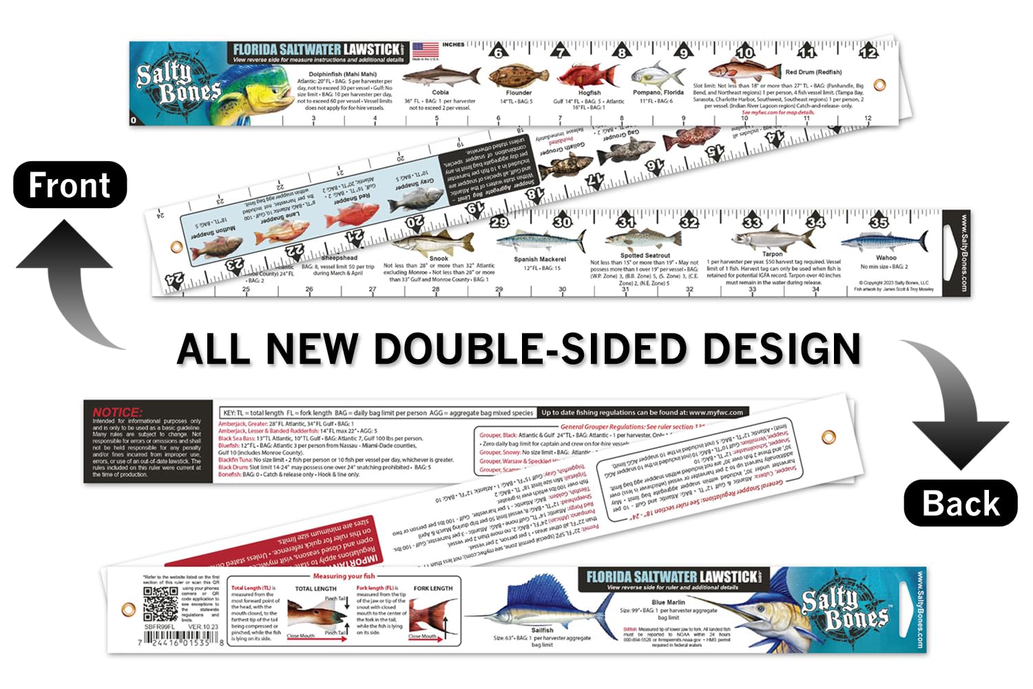 Back view showing Gulf and Atlantic guidelines on Florida lawstick