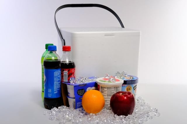 Salutem Vita 12qt cooler being carried shows lightweight portability for travel.
