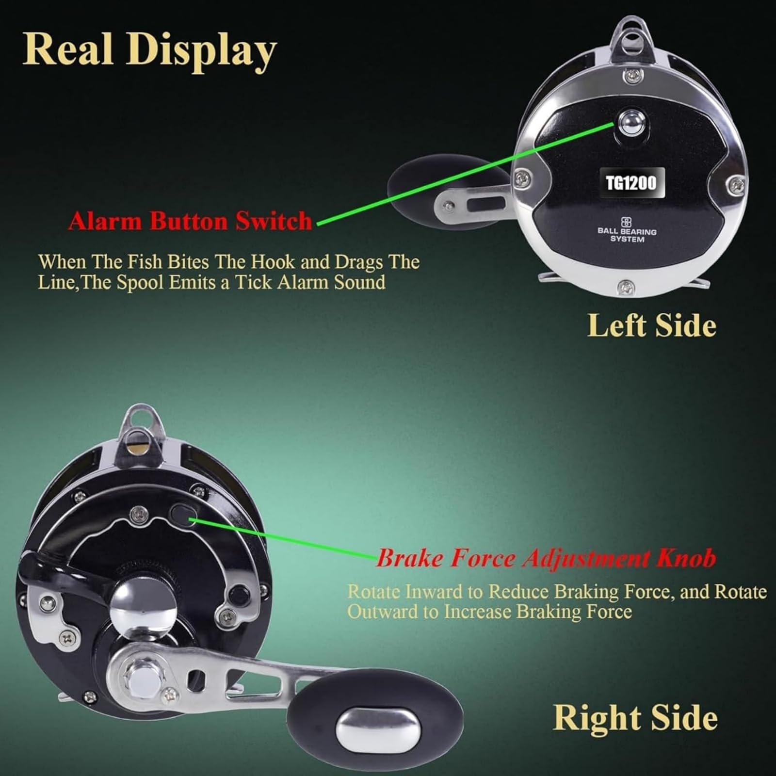 SAMOLLA eight-one bearing system close-up demonstrates smooth cranking