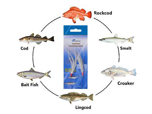 Sanhu Rock Cod Feather Rigs dispenser for quick setup.