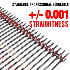 Closeup of precision spine alignment on Sanlida Dragon10 arrow.