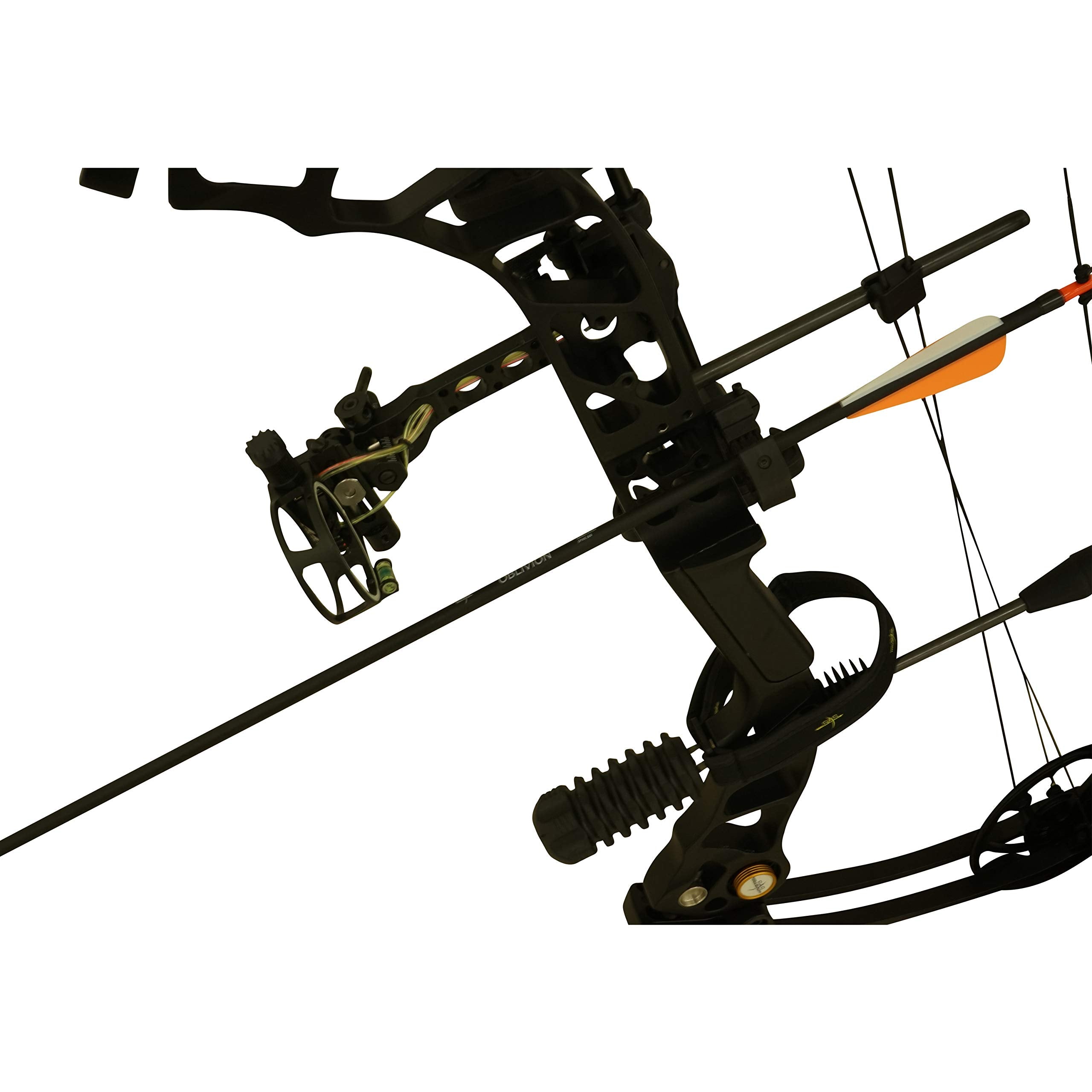 SAS Oblivion 12-pack arrow set for hunting and practice.