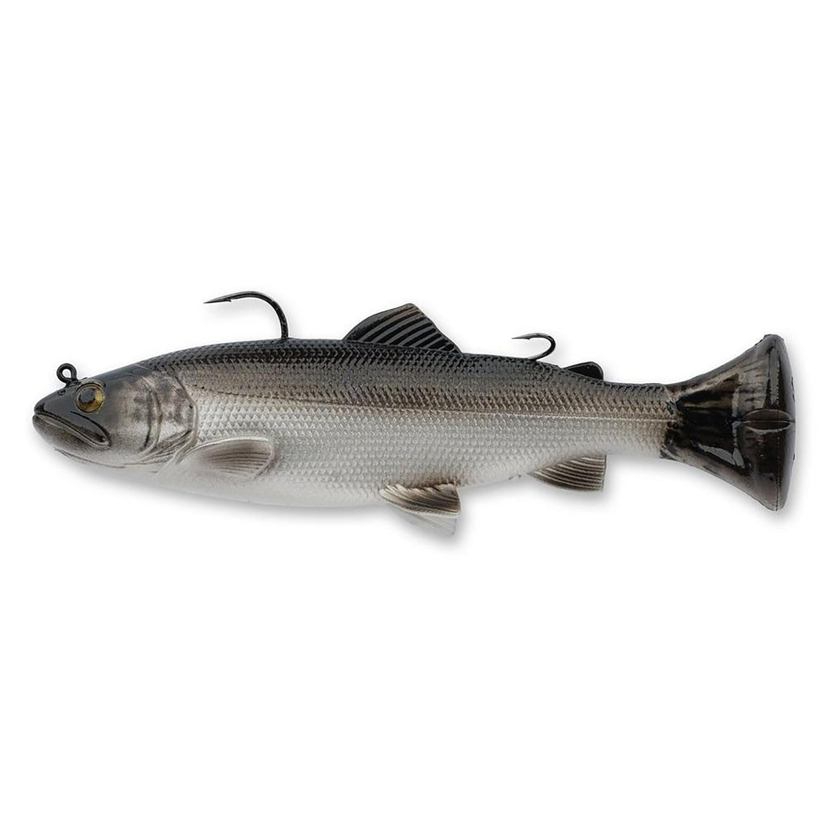 Savage Gear 3D Pulse Tail Trout Dirty Silver front view lifelike lure for big bass