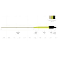 Scientific Anglers SA Sonar Titan Sink Tip in action with streamer cast for trout and bass