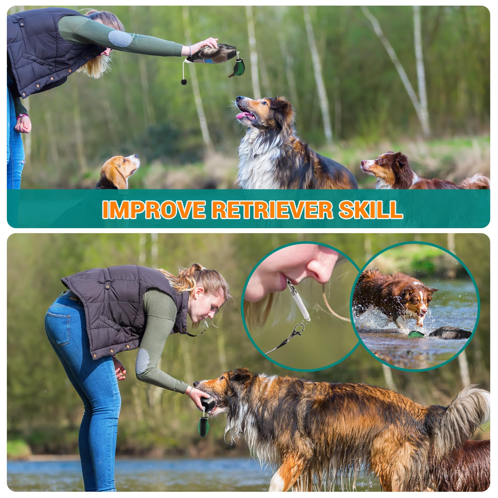 Scopaven duck training dummy uses chew-resistant EVA to protect teeth during tough sessions.