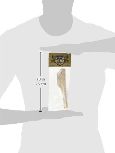 Scott Pet Big Sky Antler Chew Split dog enjoying; natural chew aids activity and engagement.