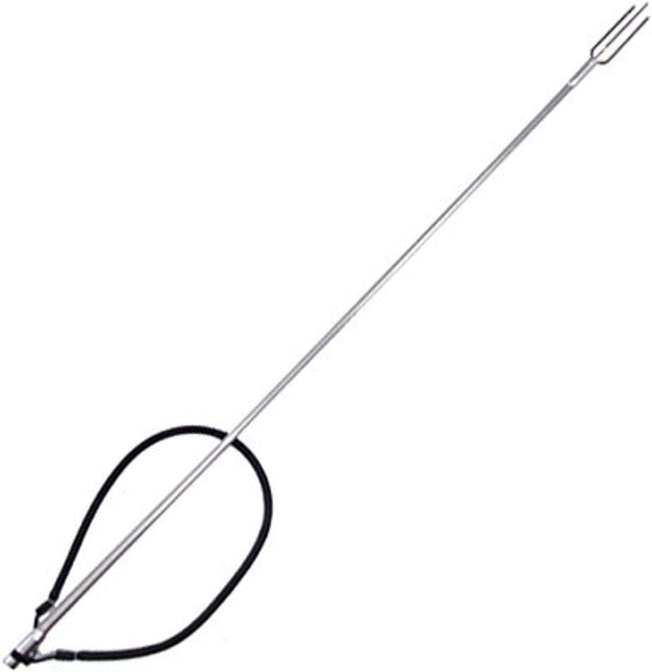 Underwater targeting reef fish with Scuba Choice 3ft pole spear