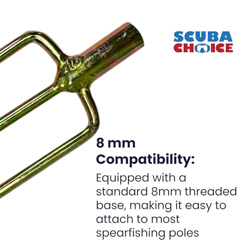 Scuba Choice chrome gold finish detail enhances wear resistance during dives.