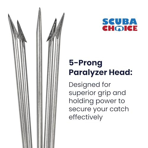 Scuba Choice lionfish hunting tip for secure reef catches