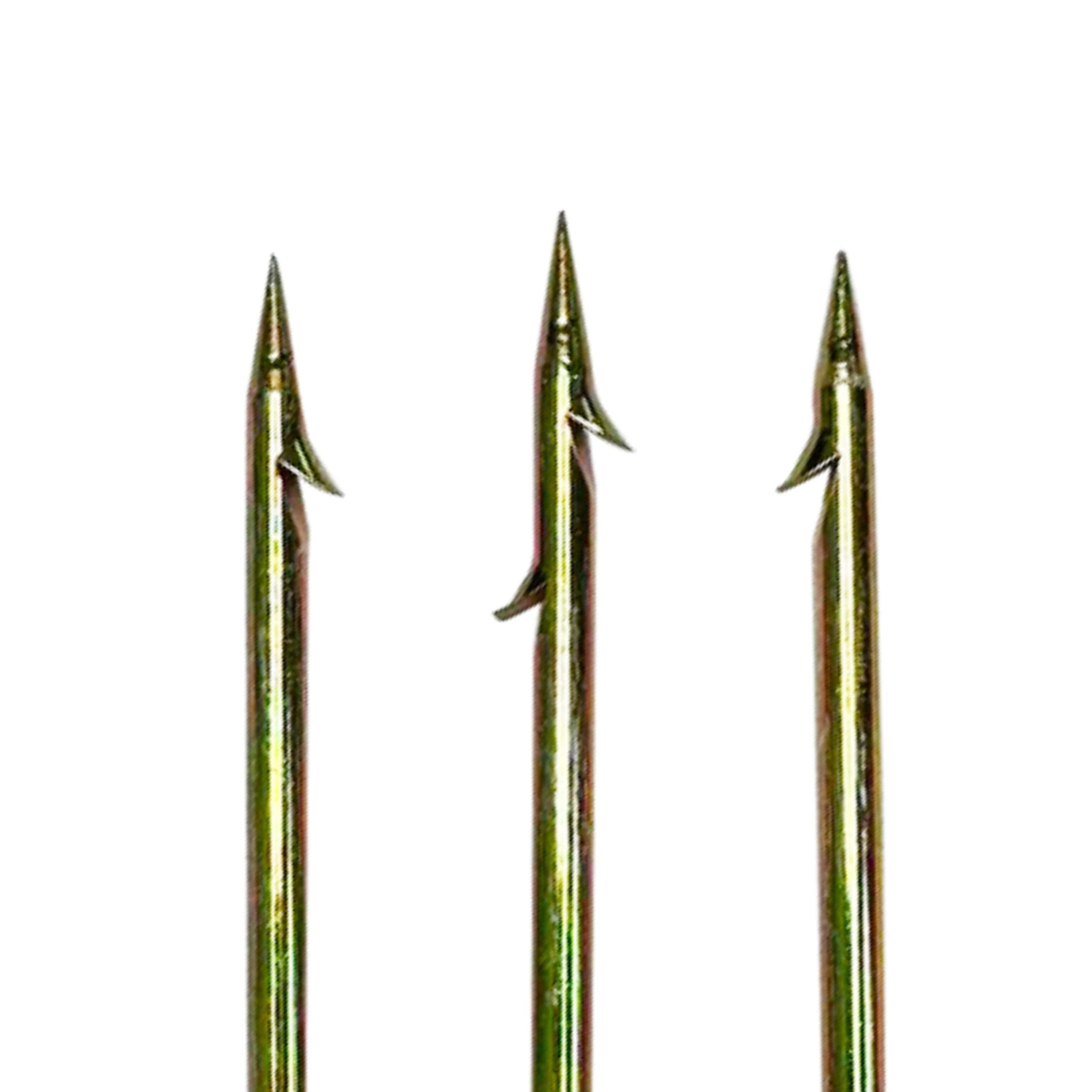 Scuba Choice corrosion resistance supports durability in saltwater conditions.