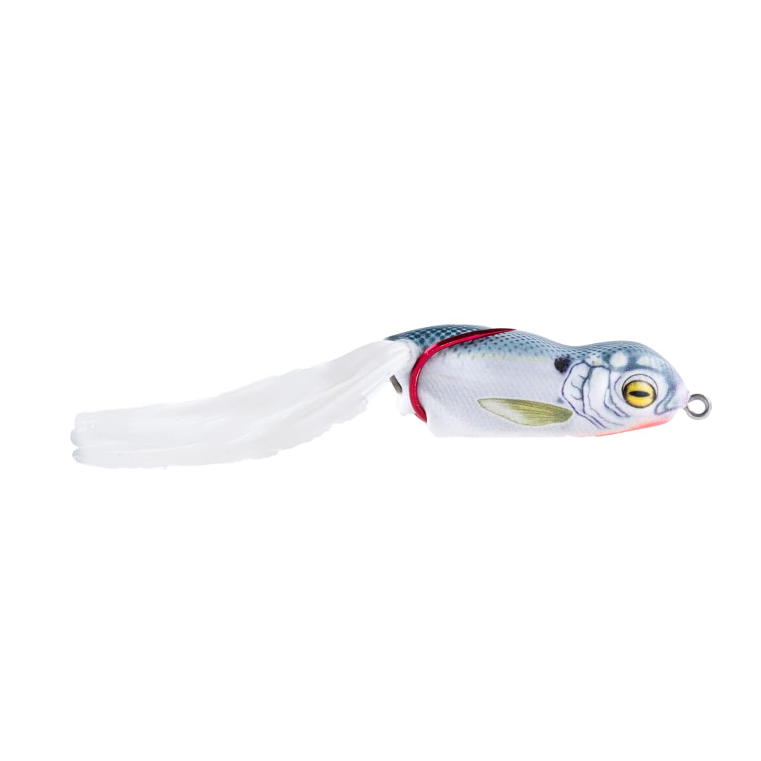 Scum Frog Launch XS Frog shows long casting capability for open-water retrieves.