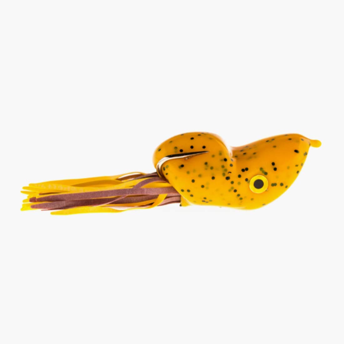 Scum Frog Popper topwater frog lure pumpkin seed for bass surface strikes.