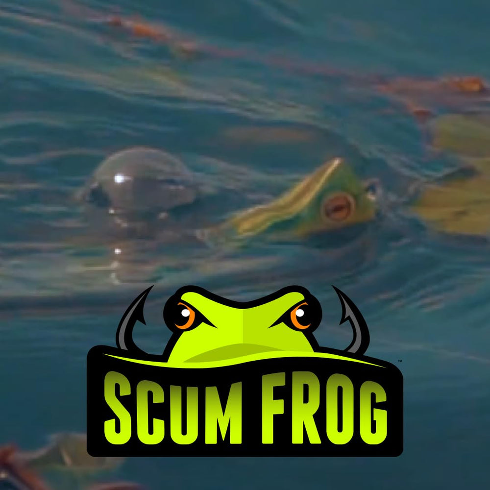 Scum Frog Trophy Series Painted Popper popping action triggers explosive topwater strikes