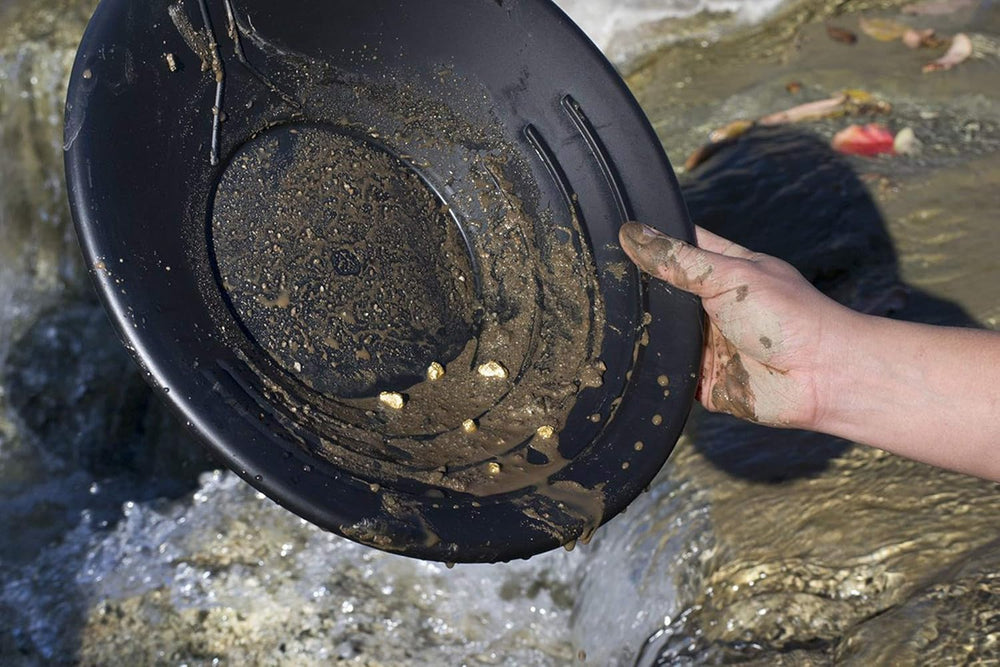 Easy-to-clean SE 14-inch pan supports quick session transitions.