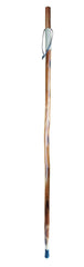 SE Survivor Series hiking stick with grizzly bear design offers stylish trail support