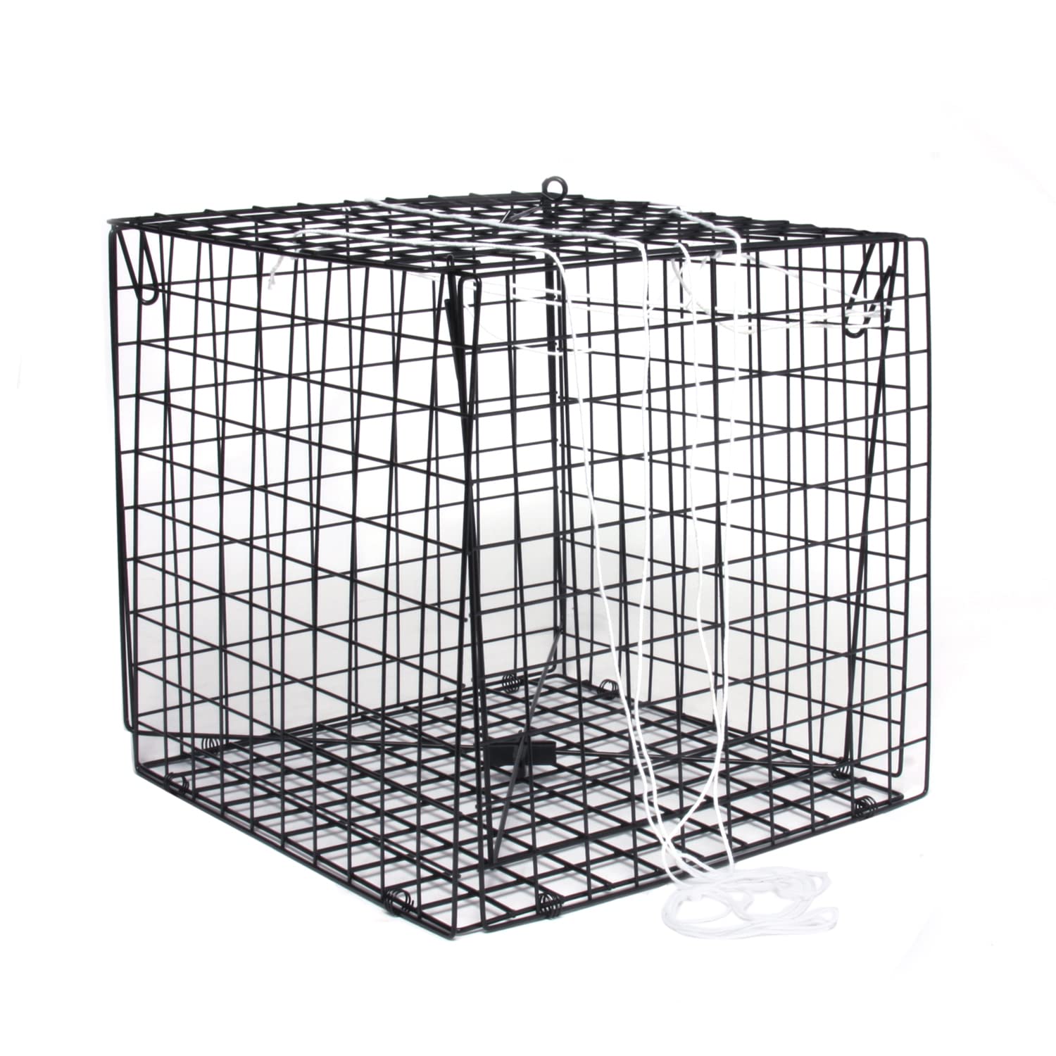 Sea Striker SSCT10.5 crab trap front view, sturdy saltwater gear for crabbing
