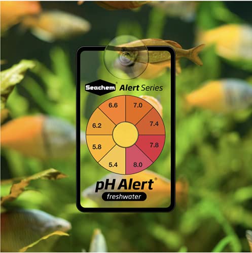 Seachem Alert Combo Pack packaging highlighting one-year supply