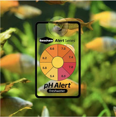 Seachem Alert Combo Pack packaging highlighting one-year supply