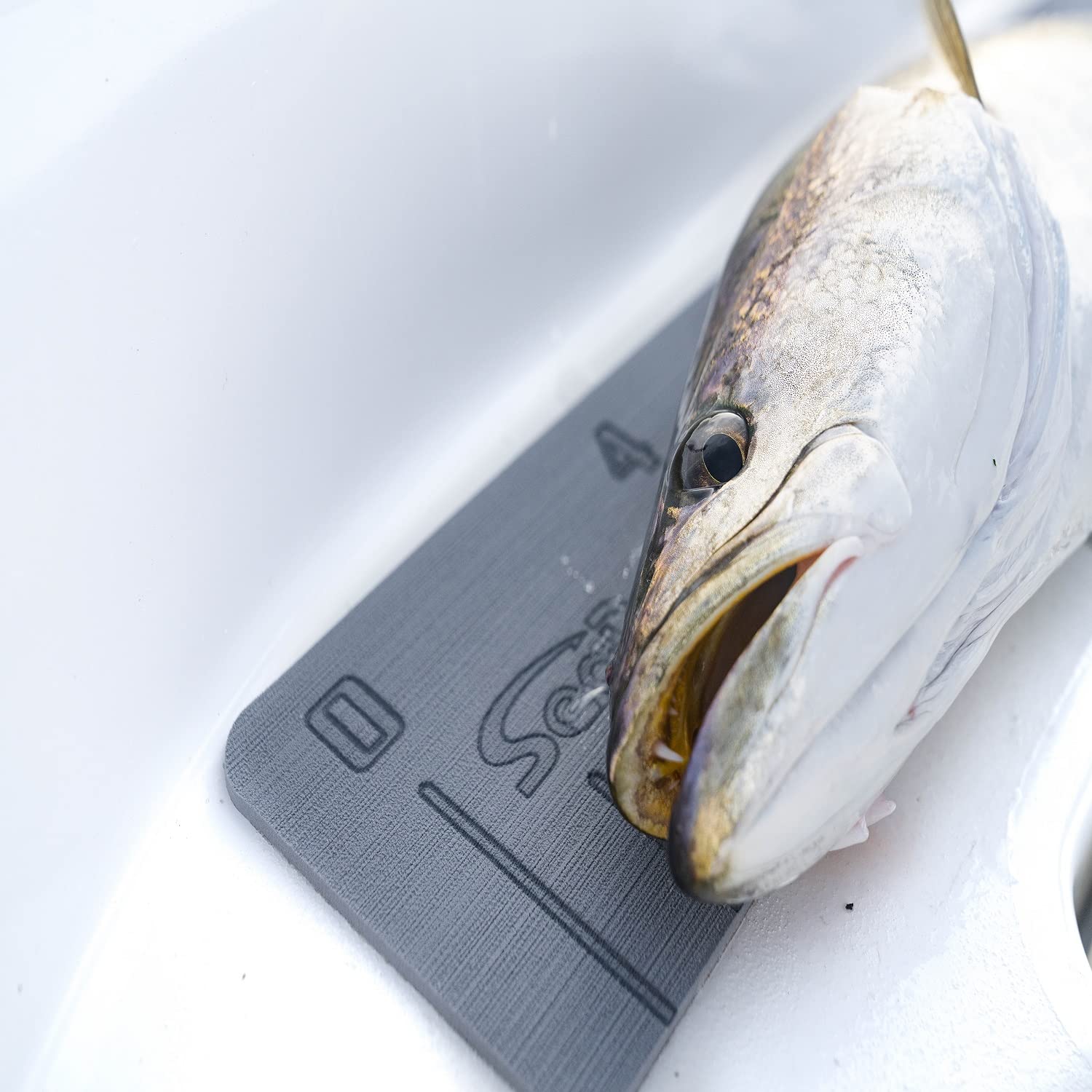 Nonslip surface helps secure readings on wet decks