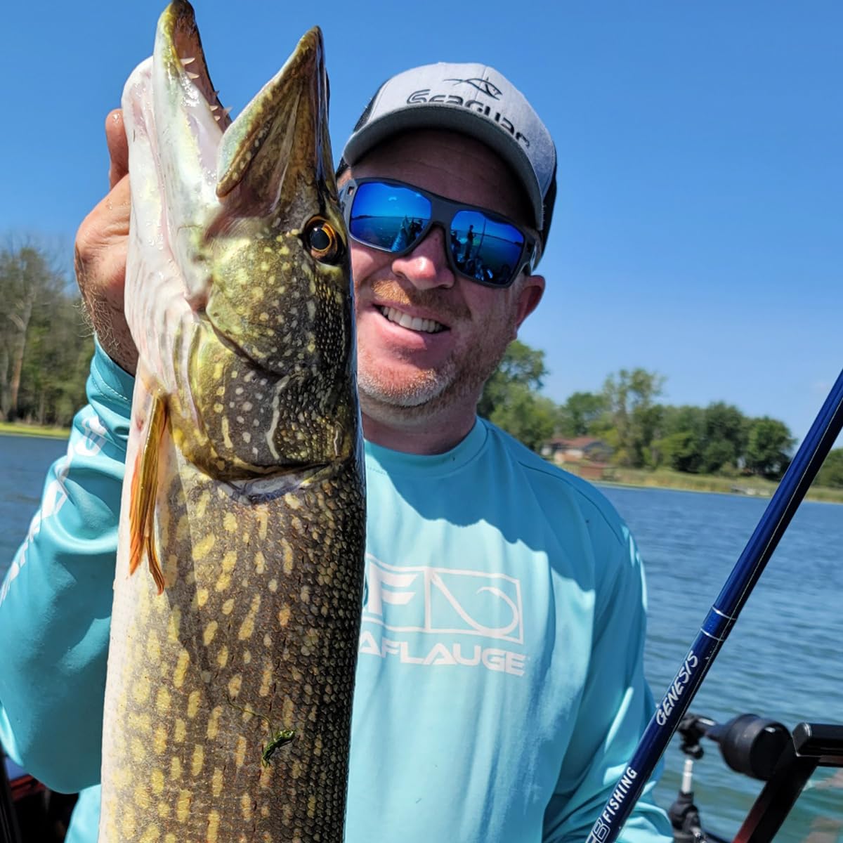High tensile strength of Seaguar Red Label line for durable freshwater fishing.