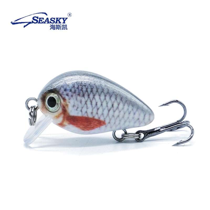 SEASKY kit1 hard PVC case for 5pcs crankbait