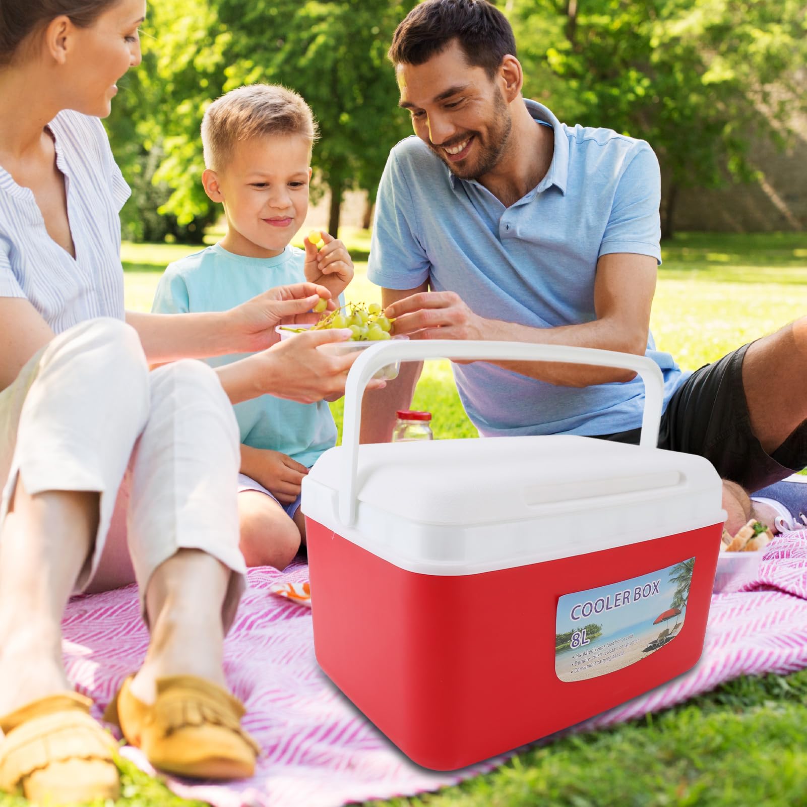 Segrehy cooler on a picnic table ready for snacks