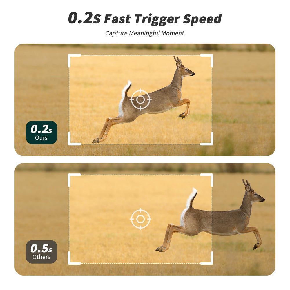 SEHMUA cellular trail camera night-vision shot shows clear nighttime wildlife details.