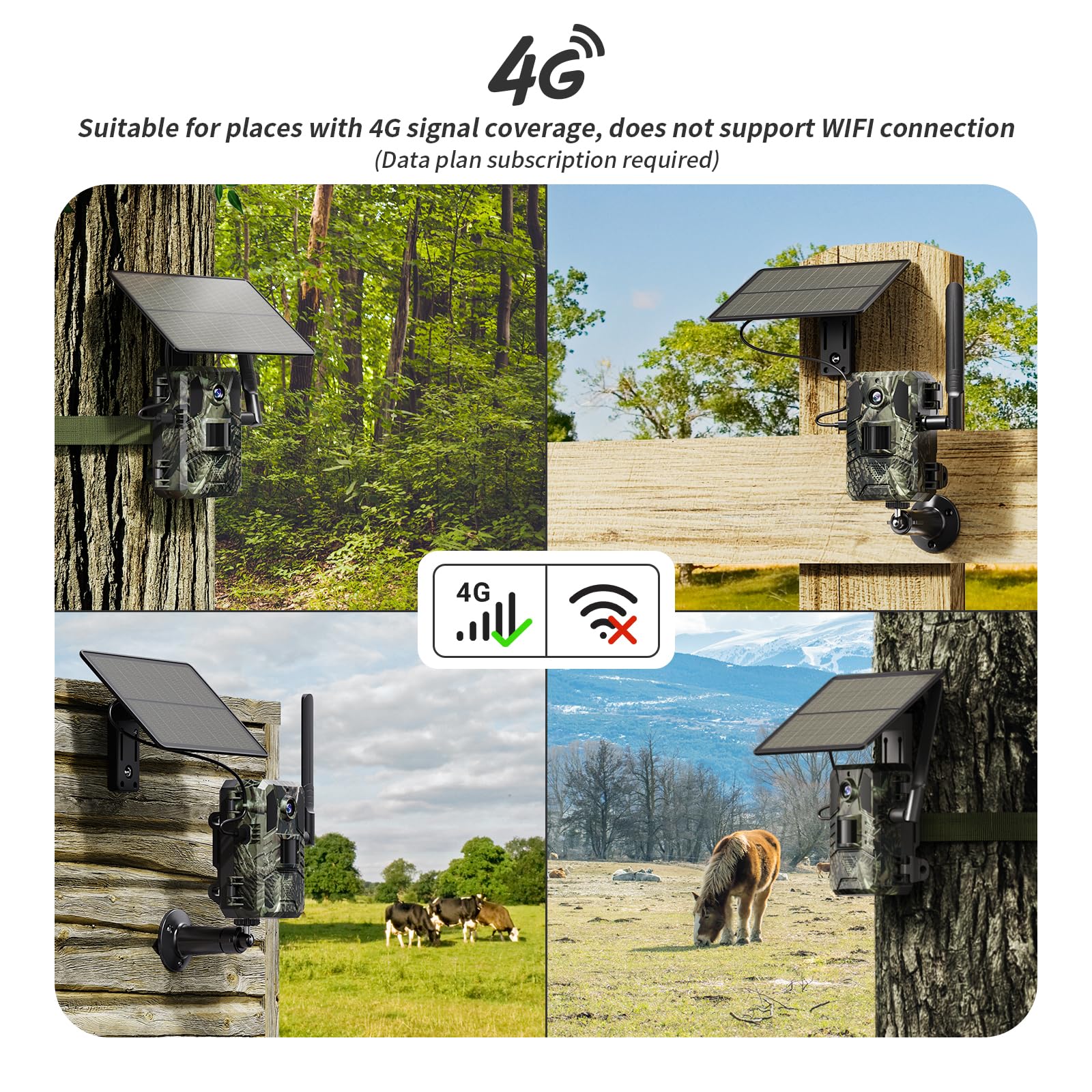 SEHMUA 2K live video view captures wildlife in real time