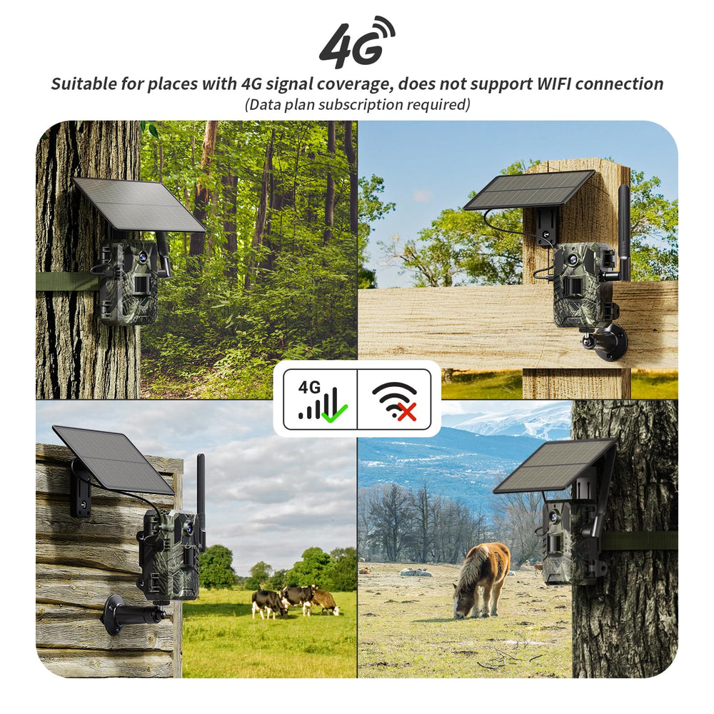 SEHMUA 2K live video view captures wildlife in real time