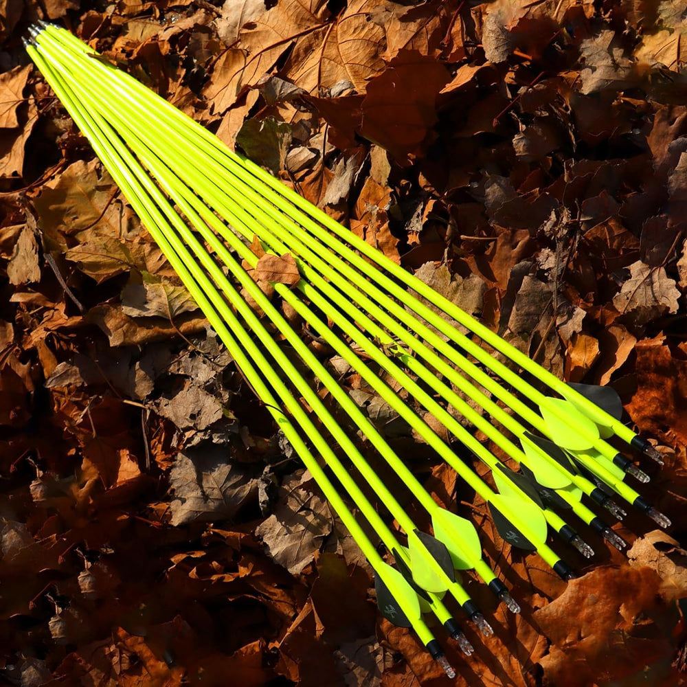 S F nickel-plated stainless steel tips on carbon arrow for durable practice