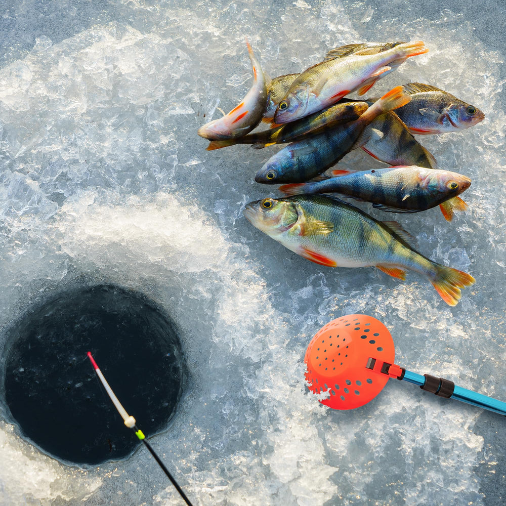 Blue Sfcddtlg ice scoop with retractable pole in use