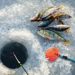 Blue Sfcddtlg ice scoop with retractable pole in use