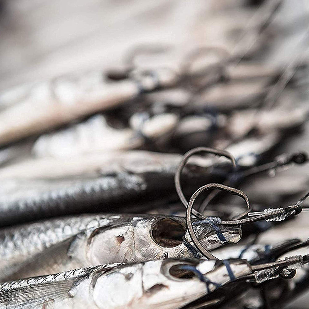 Shaddock anti-rust stainless steel hooks stay sharp longer in saltwater.