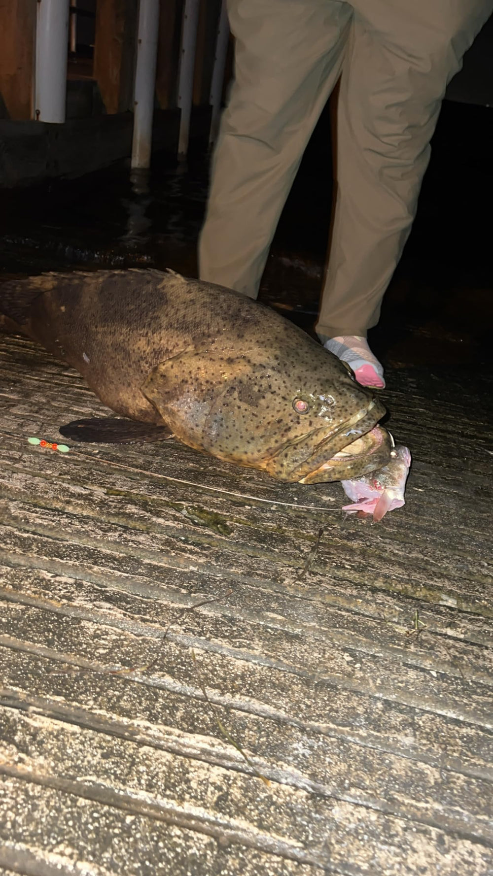 Crane swivel ready to accept additional weight