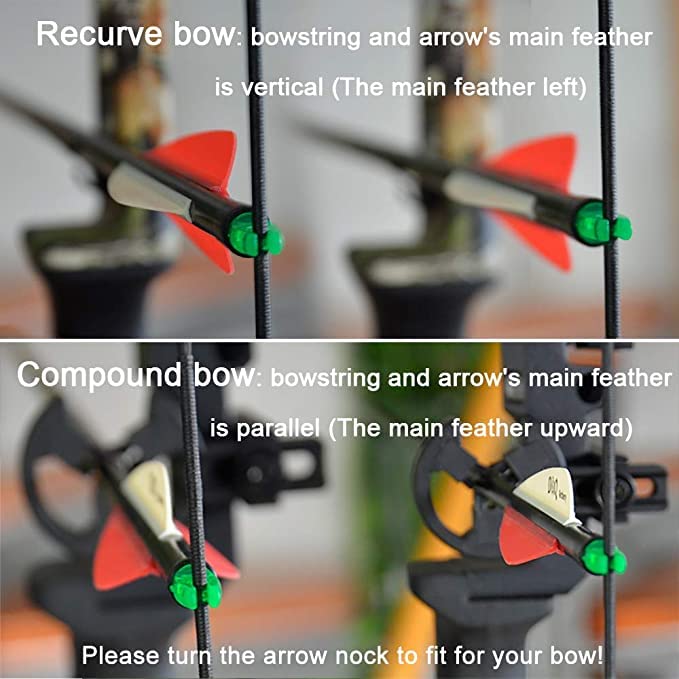 SHARROW 12-pack targeting arrows for training and targets